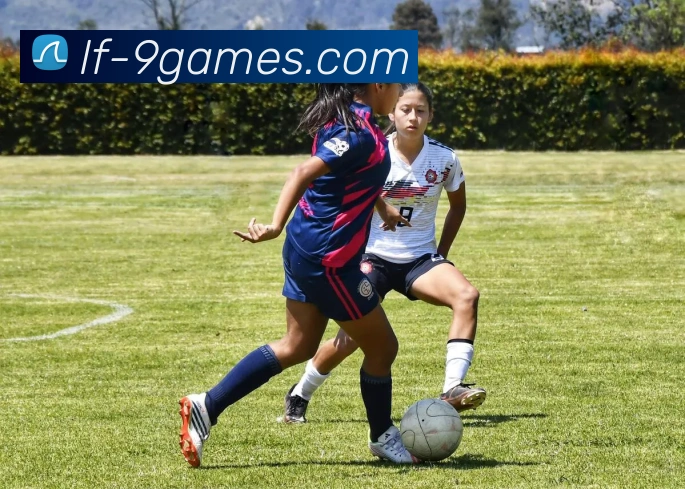 九游会官网APP 封面图